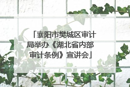 襄阳市樊城区审计局举办《湖北省内部审计条例》宣讲会