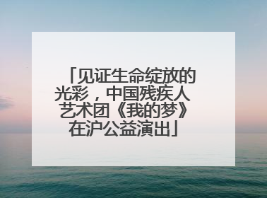 见证生命绽放的光彩，中国残疾人艺术团《我的梦》在沪公益演出
