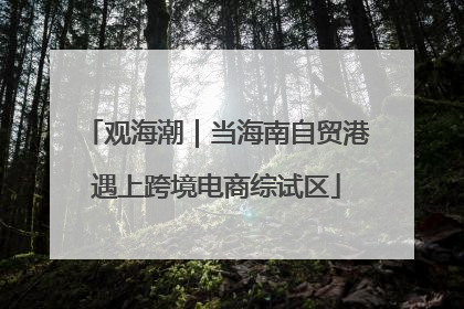观海潮｜当海南自贸港遇上跨境电商综试区