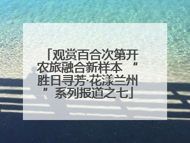 观赏百合次第开 农旅融合新样本 “胜日寻芳·花漾兰州”系列报道之七