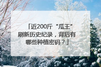 近200斤“瓜王”刷新历史纪录，背后有哪些种植密码？