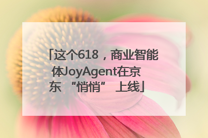 这个618，商业智能体JoyAgent在京东 “悄悄” 上线