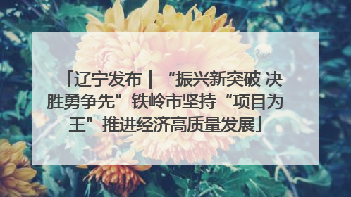 辽宁发布｜“振兴新突破 决胜勇争先”铁岭市坚持“项目为王”推进经济高质量发展