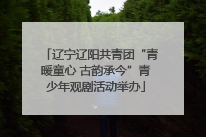 辽宁辽阳共青团“青暖童心 古韵承今”青少年观剧活动举办