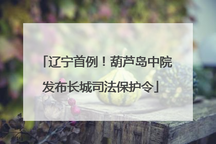辽宁首例！葫芦岛中院发布长城司法保护令