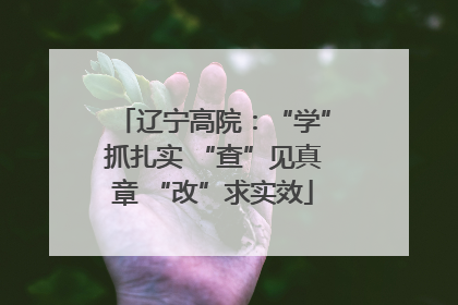 辽宁高院：“学”抓扎实 “查”见真章 “改”求实效