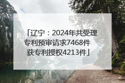 辽宁：2024年共受理专利预审请求7468件 获专利授权4213件