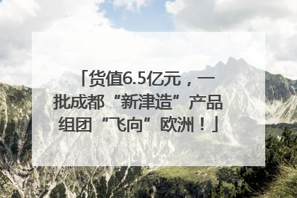 货值6.5亿元，一批成都“新津造”产品组团“飞向”欧洲！
