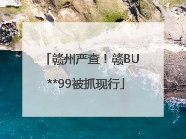 赣州严查！赣BU**99被抓现行