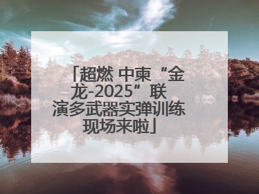 超燃 中柬“金龙-2025”联演多武器实弹训练现场来啦