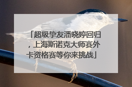 超级挚友潘晓婷回归，上海斯诺克大师赛外卡资格赛等你来挑战