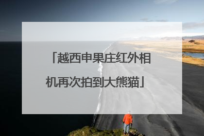 越西申果庄红外相机再次拍到大熊猫
