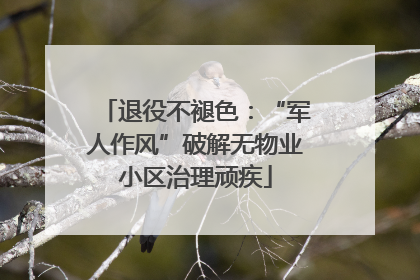 退役不褪色：“军人作风”破解无物业小区治理顽疾