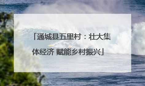 通城县五里村：壮大集体经济 赋能乡村振兴