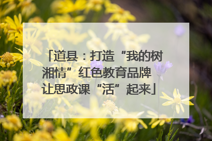 道县：打造“我的树湘情”红色教育品牌 让思政课“活”起来