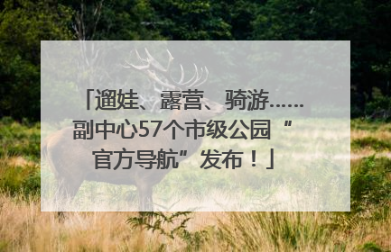遛娃、露营、骑游……副中心57个市级公园“官方导航”发布！