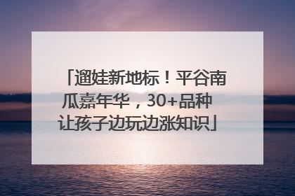 遛娃新地标！平谷南瓜嘉年华，30+品种让孩子边玩边涨知识