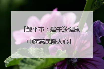 邹平市：端午送健康 中医惠民暖人心