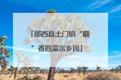 郧西县土门镇“椒”香四溢富乡民