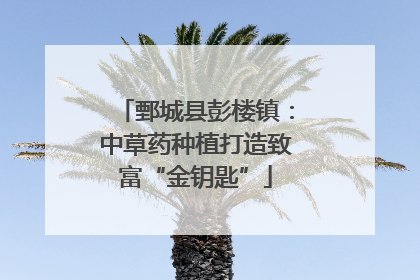 鄄城县彭楼镇：中草药种植打造致富“金钥匙”
