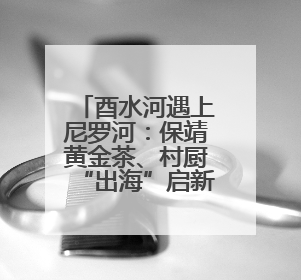 酉水河遇上尼罗河：保靖黄金茶、村厨“出海”启新途