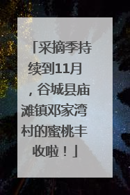 采摘季持续到11月，谷城县庙滩镇邓家湾村的蜜桃丰收啦！