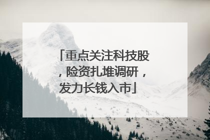 重点关注科技股，险资扎堆调研，发力长钱入市
