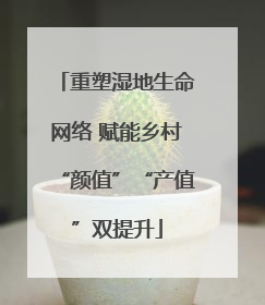 重塑湿地生命网络 赋能乡村“颜值”“产值”双提升