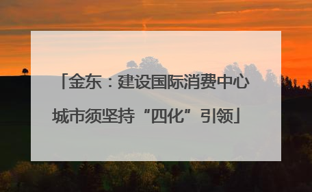 金东：建设国际消费中心城市须坚持“四化”引领