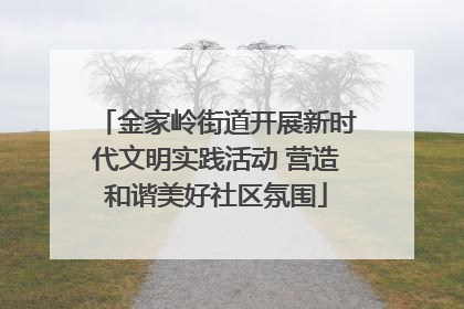 金家岭街道开展新时代文明实践活动 营造和谐美好社区氛围