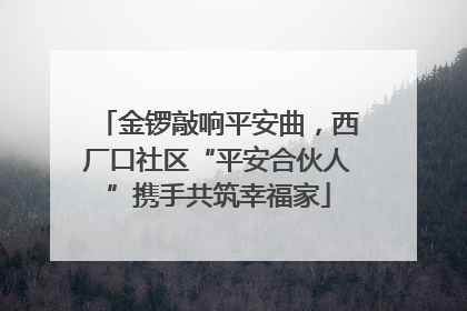 金锣敲响平安曲，西厂口社区“平安合伙人”携手共筑幸福家