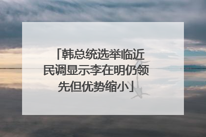 韩总统选举临近 民调显示李在明仍领先但优势缩小