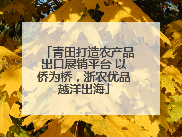 青田打造农产品出口展销平台 以侨为桥，浙农优品越洋出海