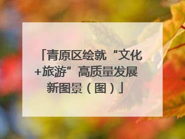 青原区绘就“文化+旅游”高质量发展新图景（图）