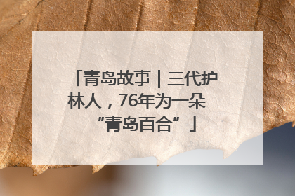 青岛故事｜三代护林人，76年为一朵“青岛百合”
