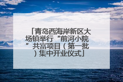 青岛西海岸新区大场镇举行“前河小院”共富项目（第一批）集中开业仪式