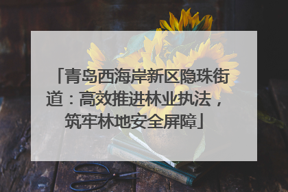 青岛西海岸新区隐珠街道：高效推进林业执法，筑牢林地安全屏障