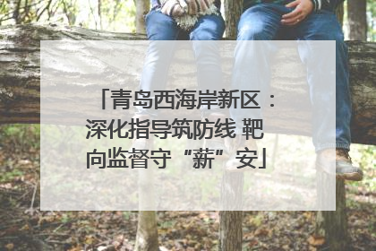 青岛西海岸新区：深化指导筑防线 靶向监督守“薪”安