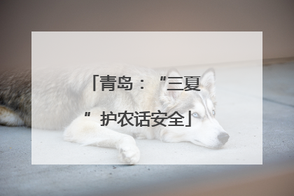 青岛：“三夏”护农话安全