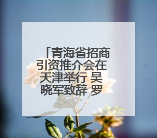 青海省招商引资推介会在天津举行 吴晓军致辞 罗东川主持
