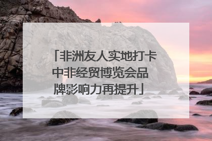 非洲友人实地打卡 中非经贸博览会品牌影响力再提升