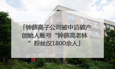 钟薛高子公司被申请破产 创始人账号“钟薛高老林”粉丝仅1800余人
