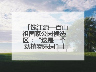 钱江源—百山祖国家公园候选区：“这是一个动植物乐园”