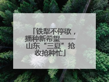 铁犁不停歇，播种新希望——山东“三夏”抢收抢种忙