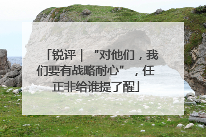 锐评｜“对他们，我们要有战略耐心”，任正非给谁提了醒