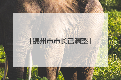 锦州市市长已调整