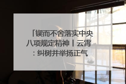 锲而不舍落实中央八项规定精神丨云霄：纠树并举扬正气 作风建设谱新章