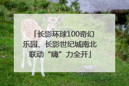 长影环球100奇幻乐园、长影世纪城南北联动“嗨”力全开