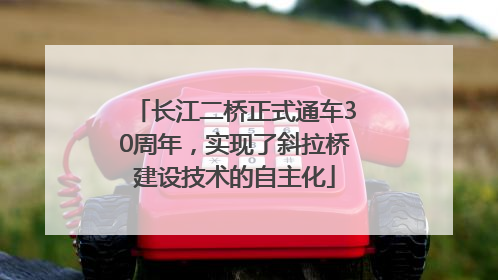长江二桥正式通车30周年，实现了斜拉桥建设技术的自主化