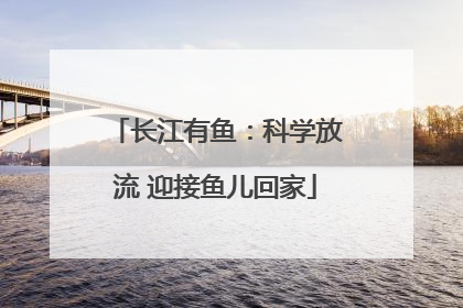 长江有鱼：科学放流 迎接鱼儿回家